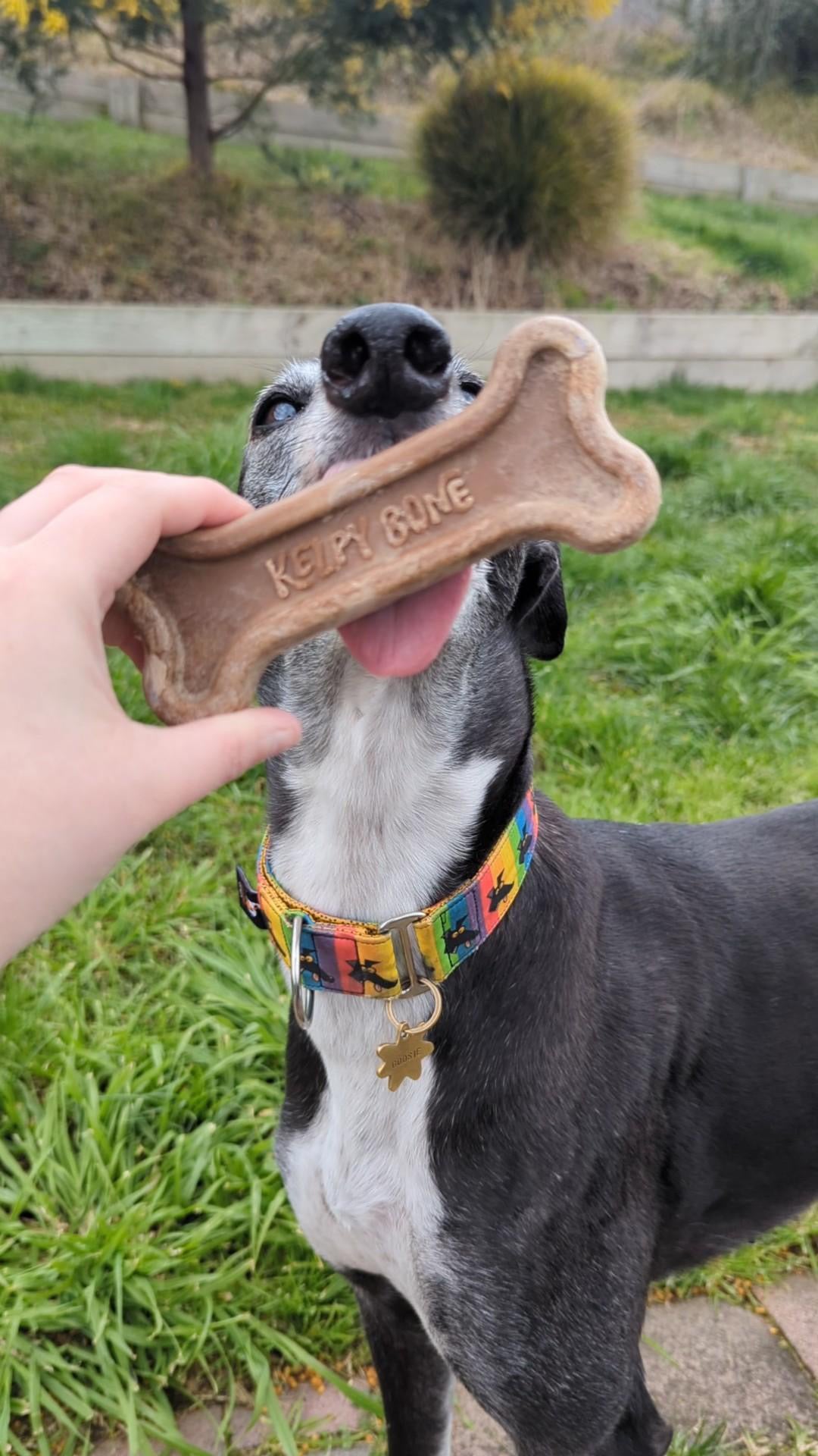 The Multipack - 4 Bones