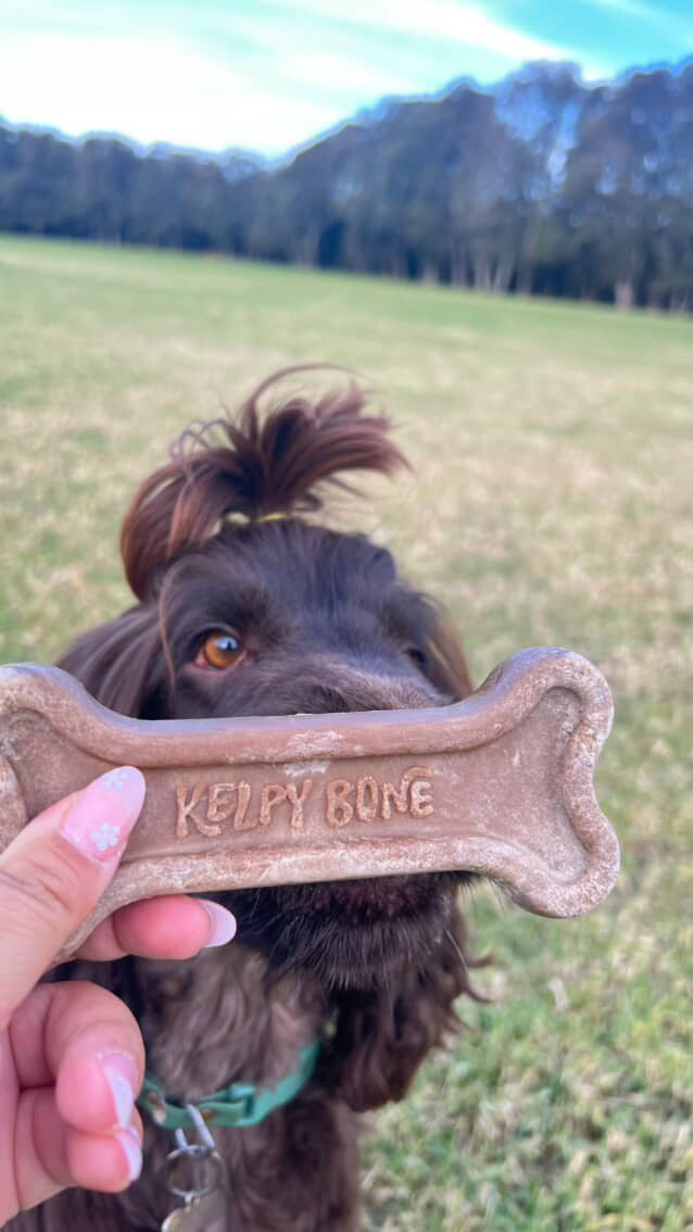 The Multipack - 4 Bones