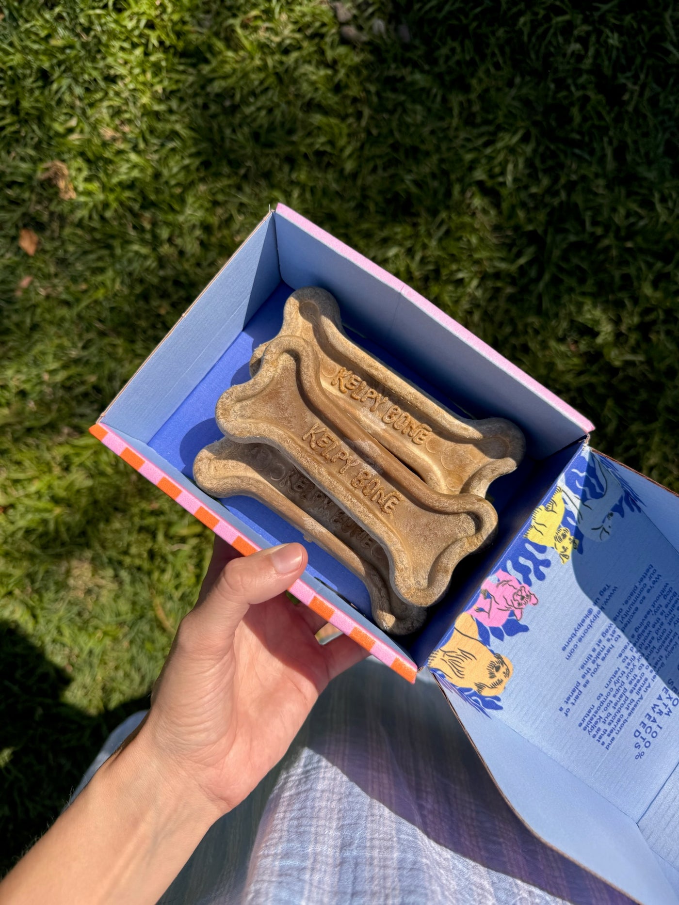 The Multipack - 4 Bones