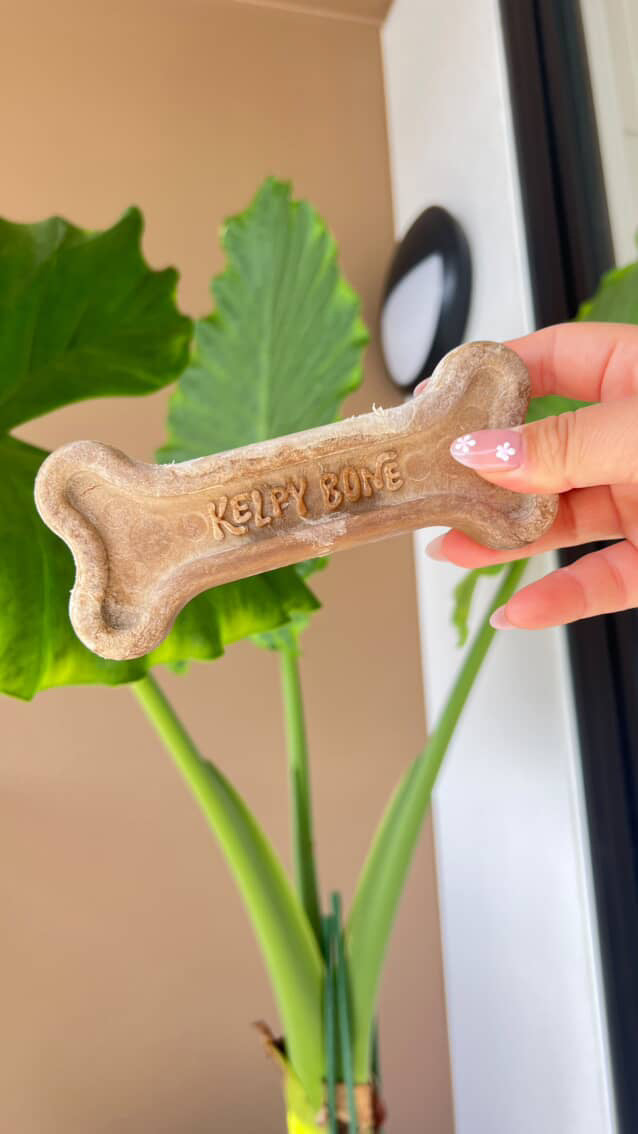 Hand holding a K9 Bone treat with a blurred background