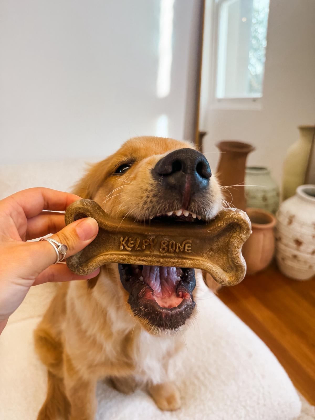 Double the Fun - 2 Bones